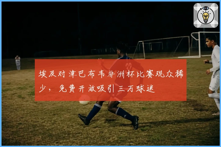 埃及对津巴布韦非洲杯比赛观众稀少，免费开放吸引三万球迷